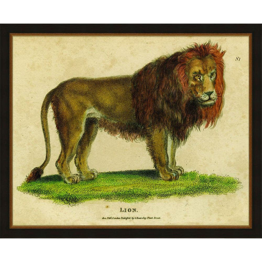 Oversized Antique Lion-Wendover-WEND-14252-Wall Art-1-France and Son