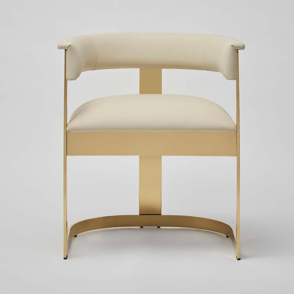 Dining Chairs Darcy II Dining Chair