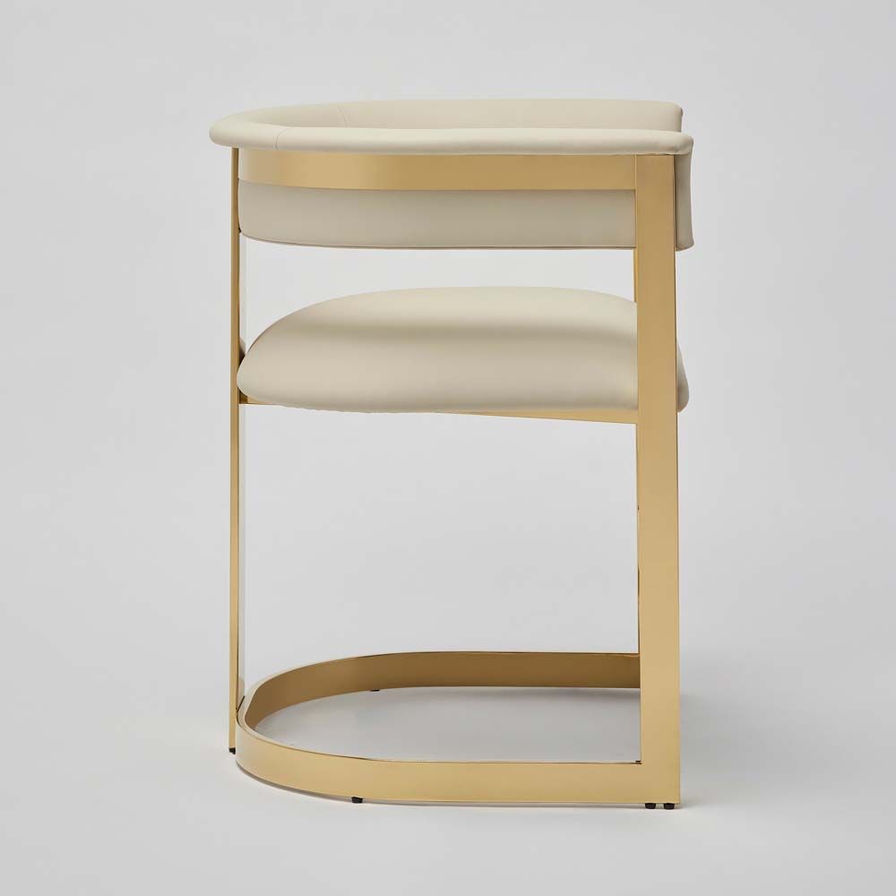 Dining Chairs Darcy II Dining Chair