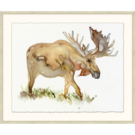 Moose Sighting 2-Wendover-WEND-WAN1013-Wall Art-1-France and Son