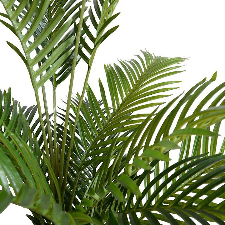 8' Areca Palm Tree
