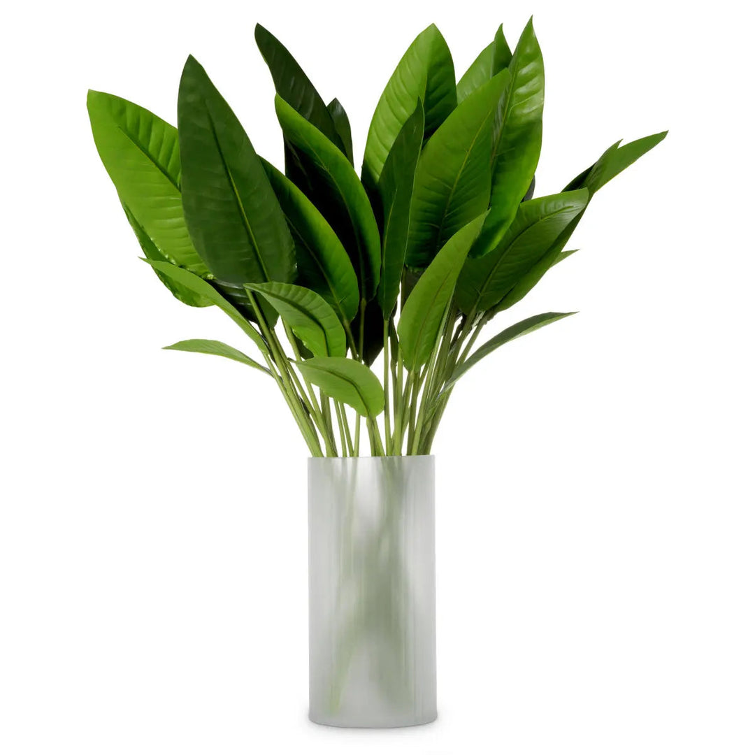 Bundle Of Strelitzia Leaves 36 Pcs - image 1
