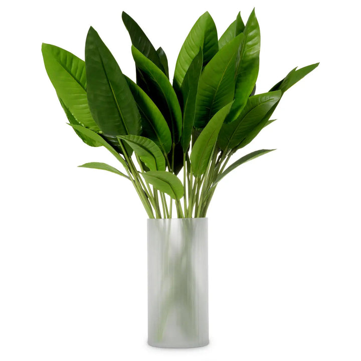 Bundle Of Strelitzia Leaves 36 Pcs - image 1
