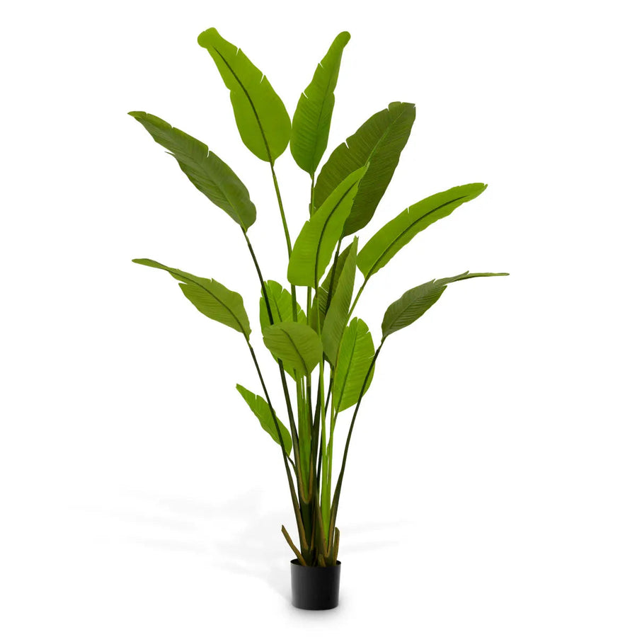 Artificial Plant Strelitzia M Green - image 1