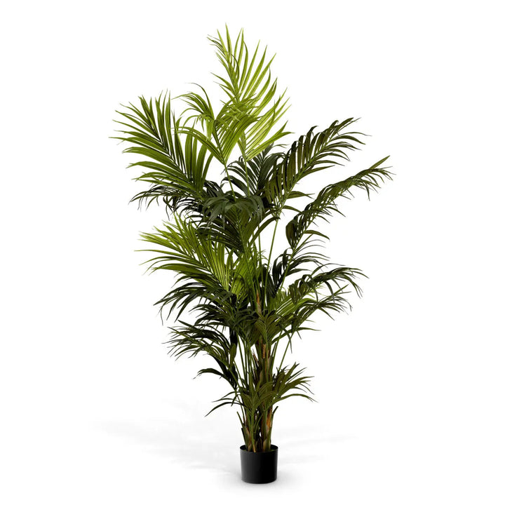 Artificial Plant Kentia Palm Green - image 1