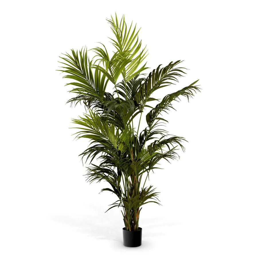 Artificial Plant Kentia Palm Green - image 1