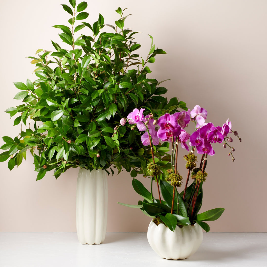 Mirabelle Tall Vase - image 4