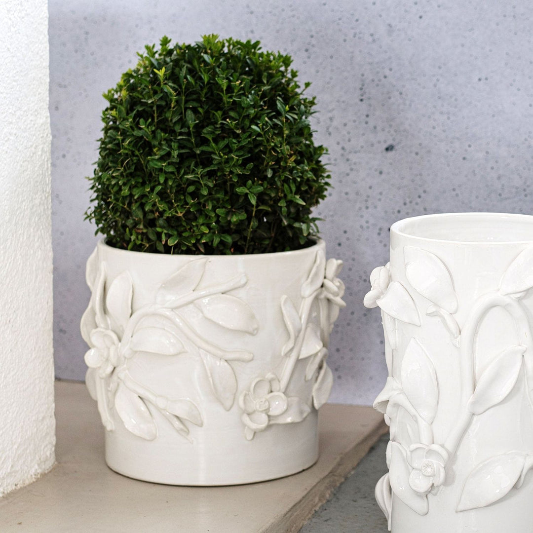 Bougainvillea Garden Cachepot