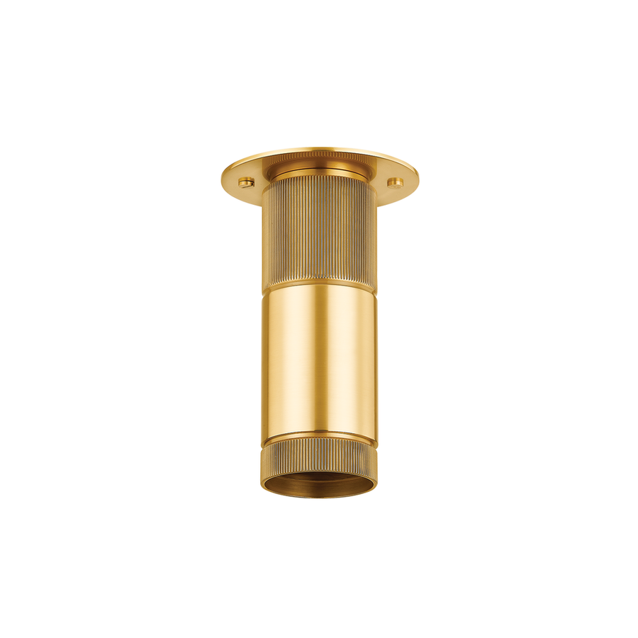 Flush Mounts Dighton Flush Mount