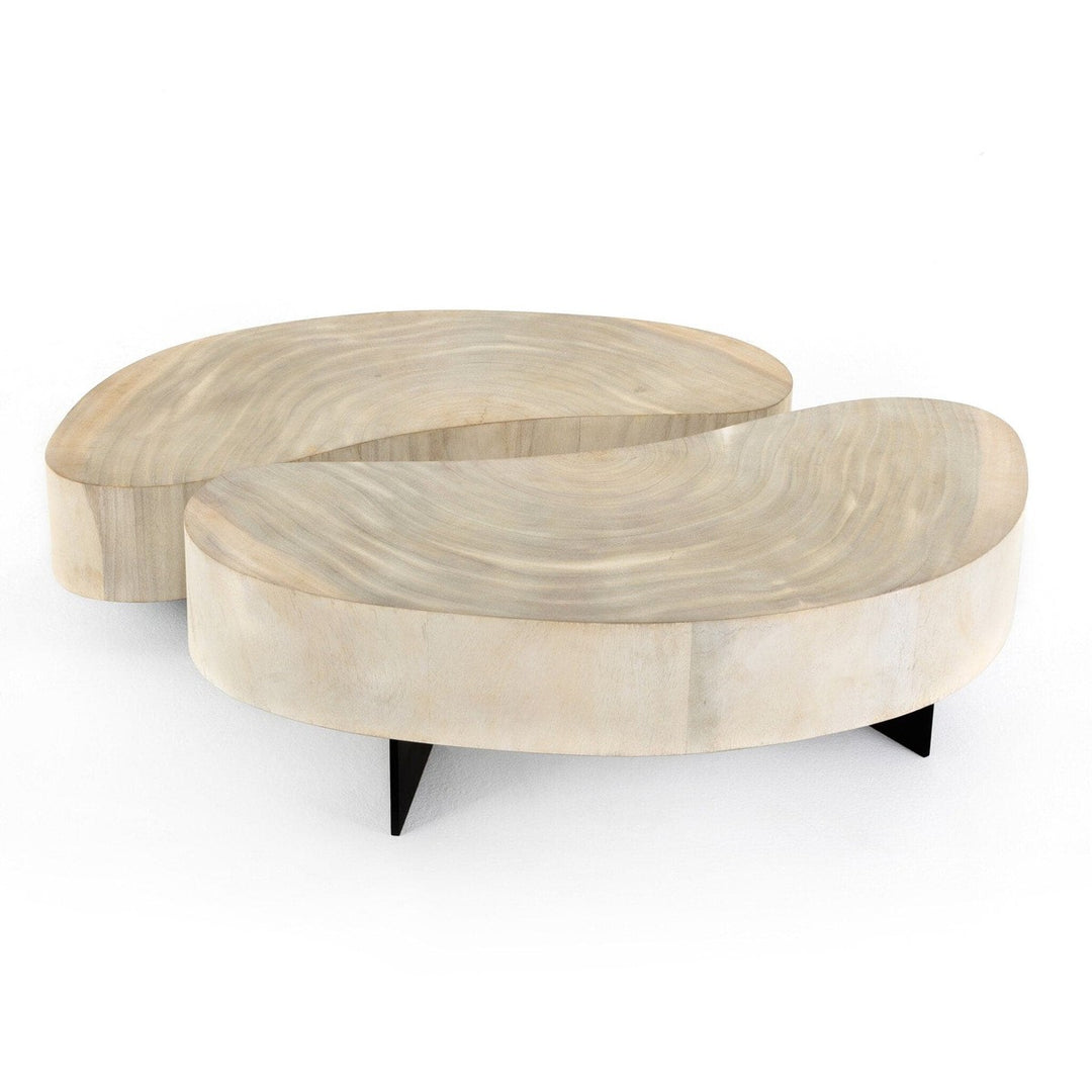 Asher Coffee Table - Bleached Guanacaste Oyster