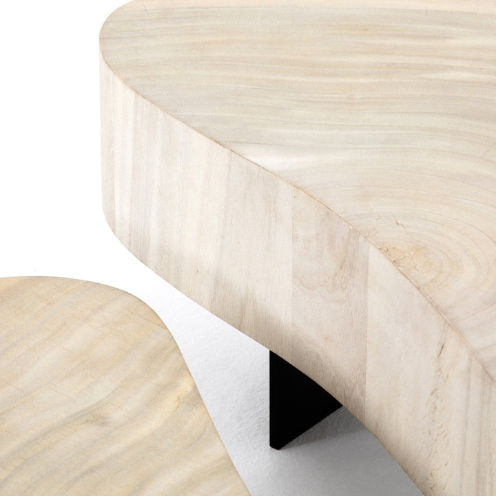 Asher Coffee Table - Bleached Guanacaste Oyster