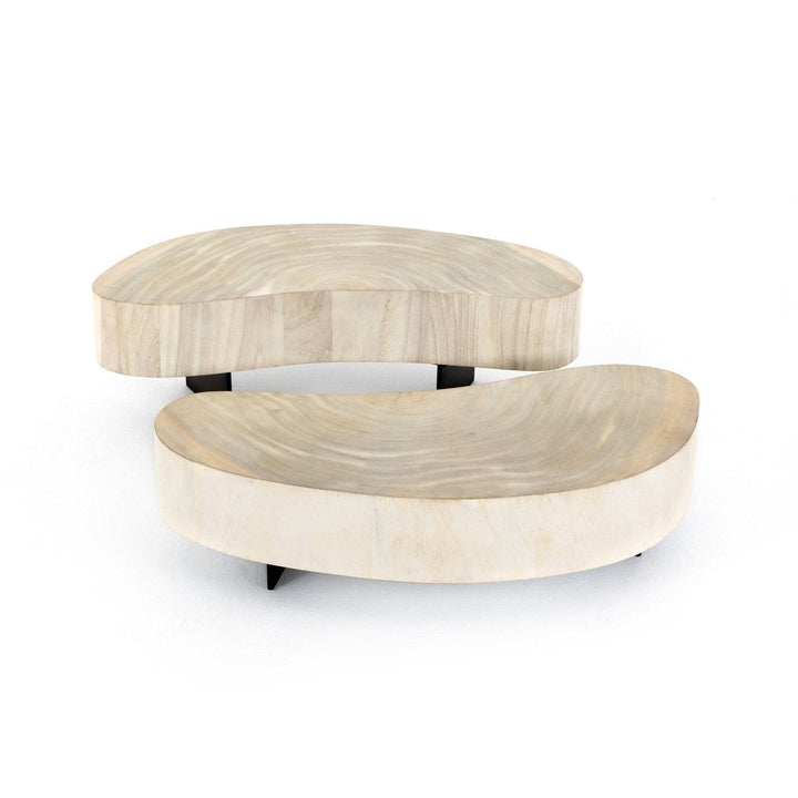 Asher Coffee Table - Bleached Guanacaste Oyster