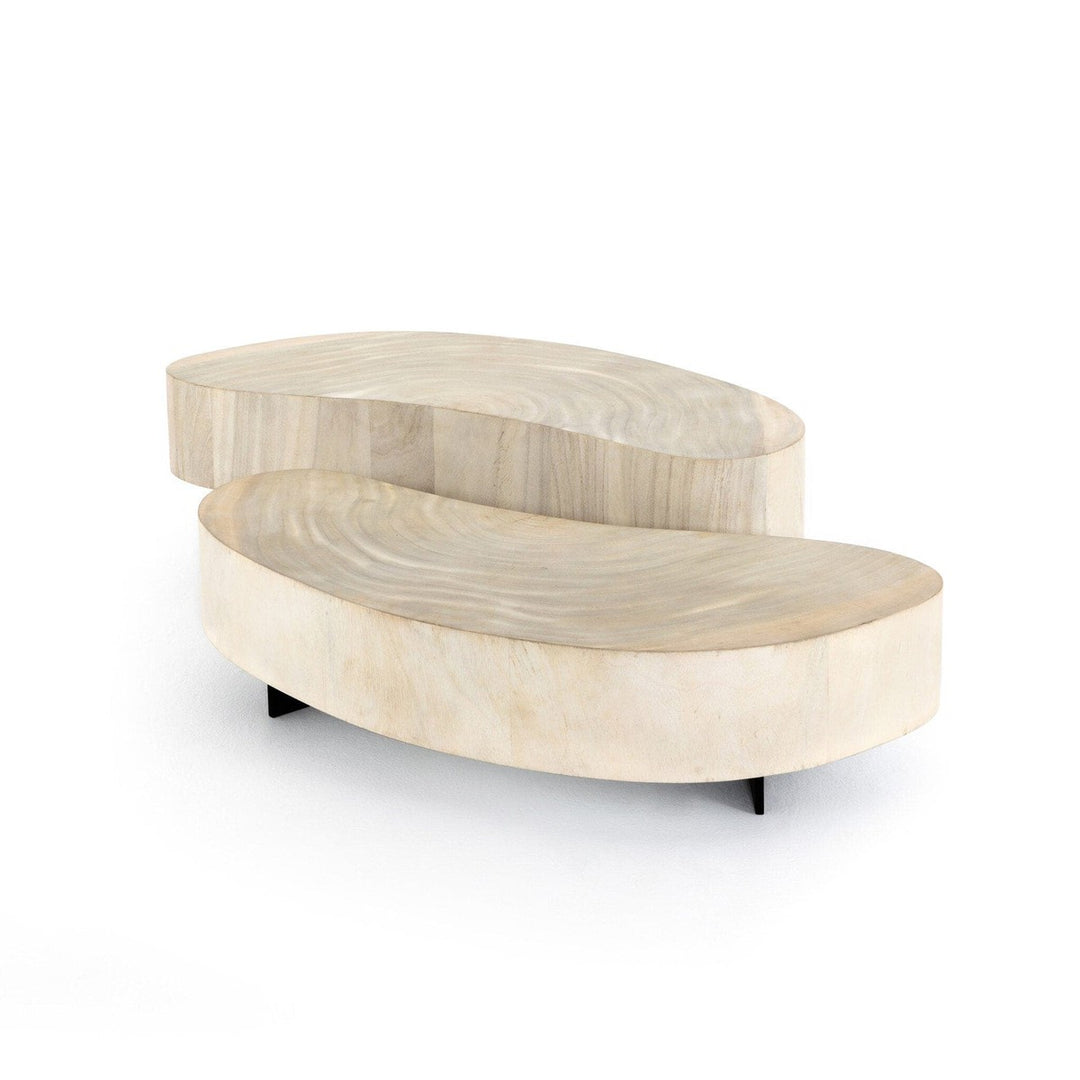 Asher Coffee Table - Bleached Guanacaste Oyster