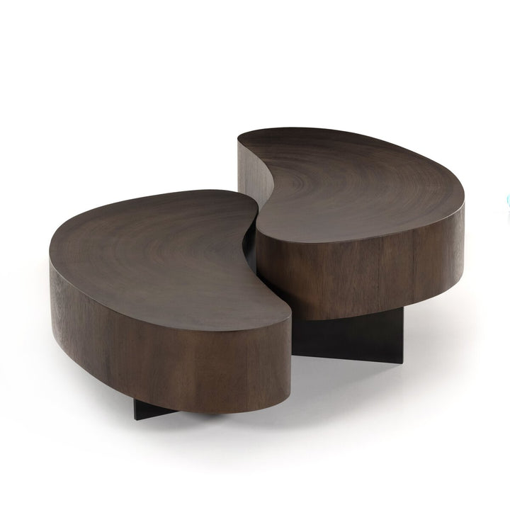 Garrett Coffee Table - 2 Piece - Smoked Guanacaste