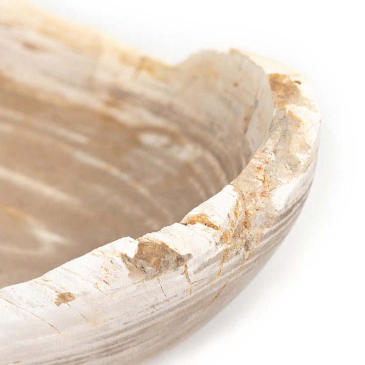 Oval Ancient Wood Bowl - Light Petrified Wood