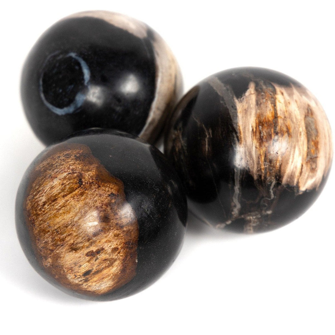 Ancient Wood Balls, Set Of 3 - Dark Petrified Wood