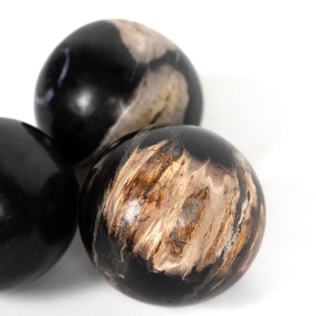 Ancient Wood Balls, Set Of 3 - Dark Petrified Wood