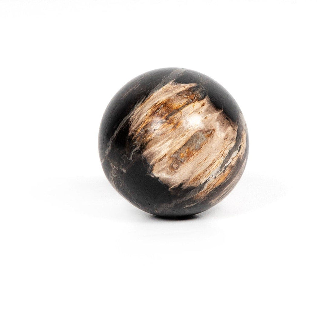 Ancient Wood Balls, Set Of 3 - Dark Petrified Wood