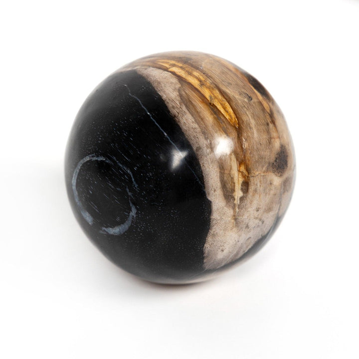 Ancient Wood Balls, Set Of 3 - Dark Petrified Wood