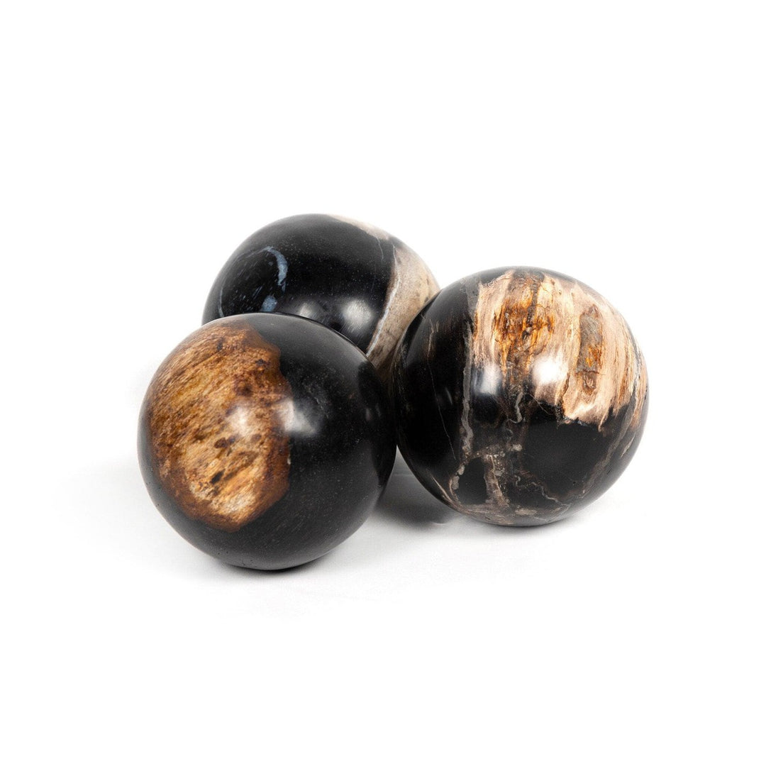 Ancient Wood Balls, Set Of 3 - Dark Petrified Wood