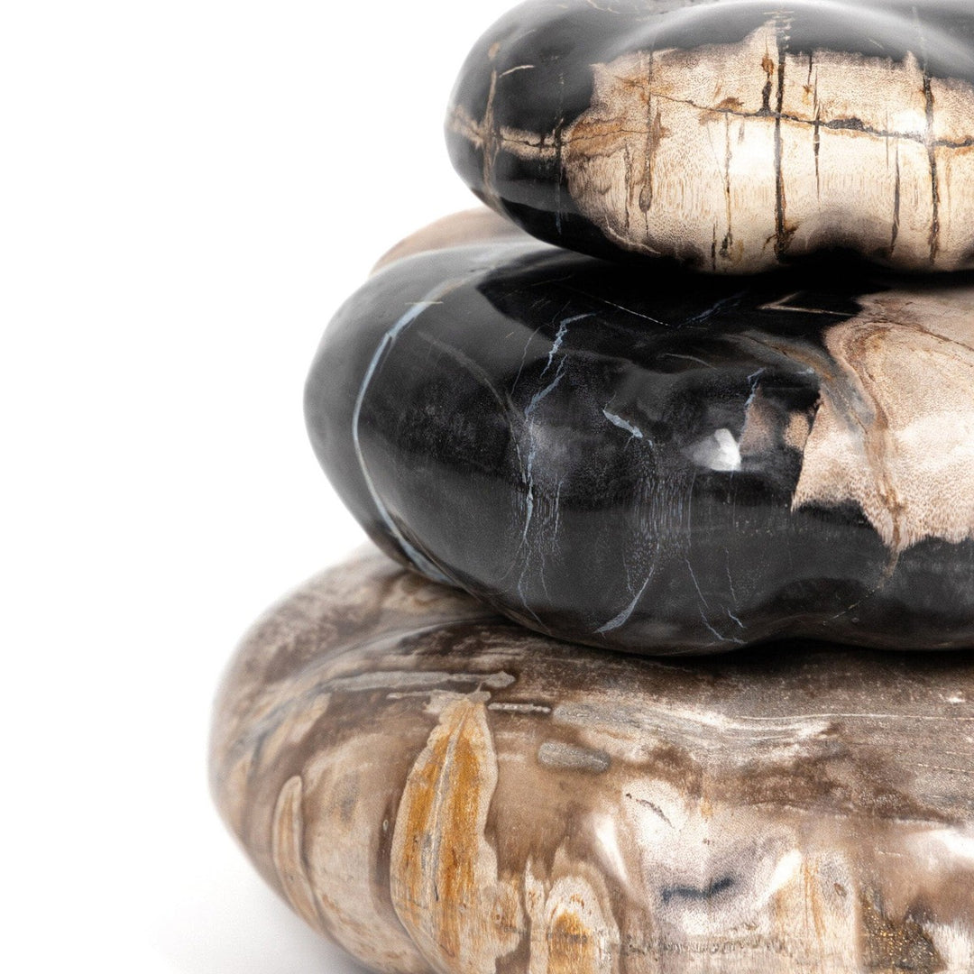 Ancient Wood Organic Sculpture, Set Of 3 - Dark Petrified Wood