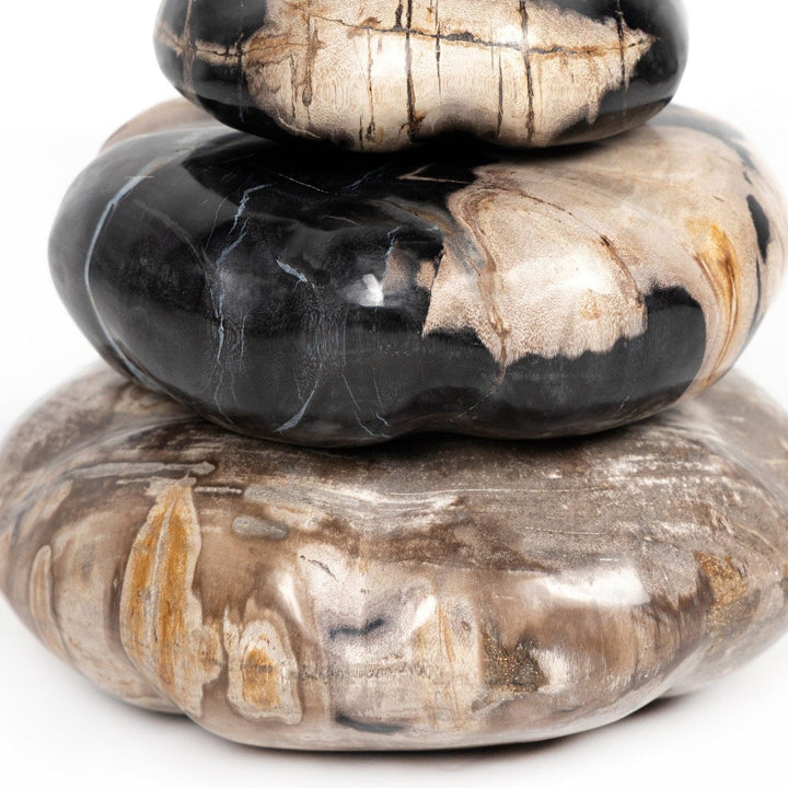 Ancient Wood Organic Sculpture, Set Of 3 - Dark Petrified Wood