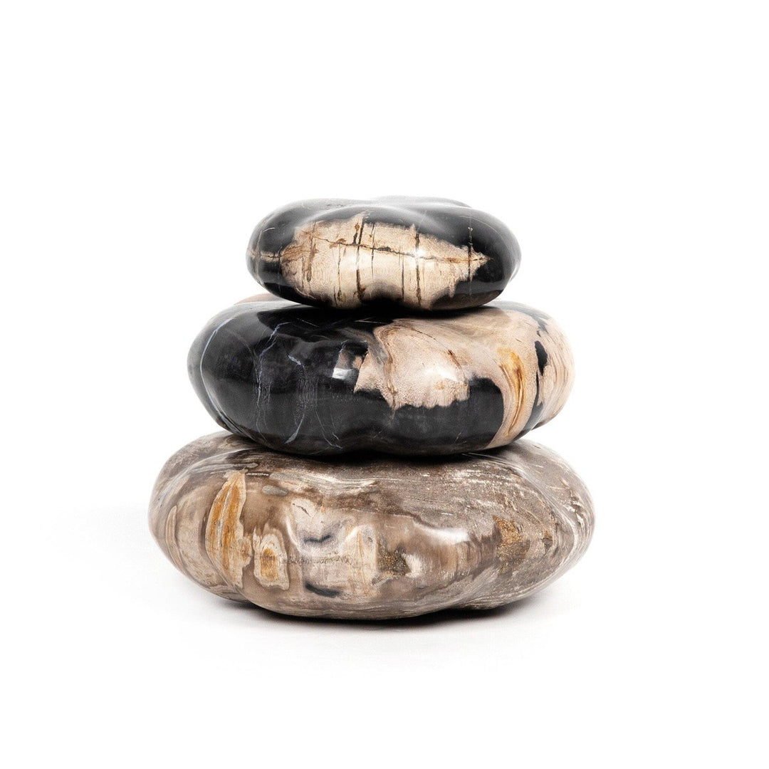 Ancient Wood Organic Sculpture, Set Of 3 - Dark Petrified Wood