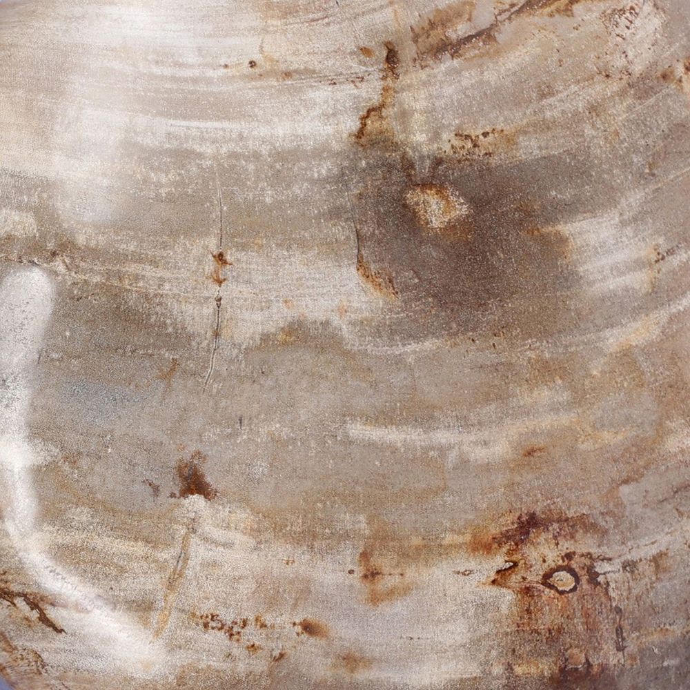 Decorative Objects Petrified Wood Organic Sculpture, Set Of 3: Light Petrified Wood