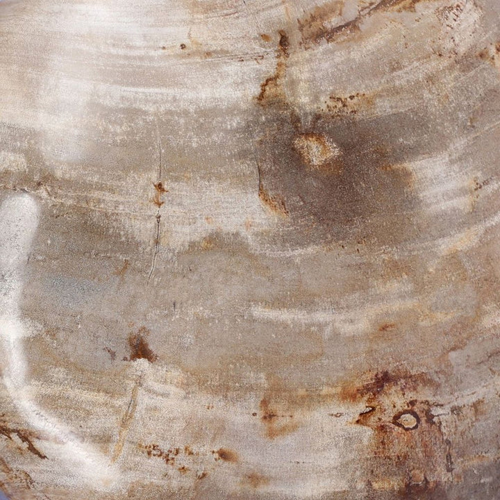 Decorative Objects Petrified Wood Organic Sculpture, Set Of 3: Light Petrified Wood