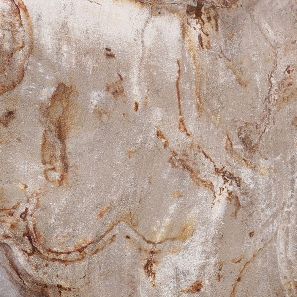 Petrified Wood Organic Sculpture, Set Of 3: Light Petrified Wood