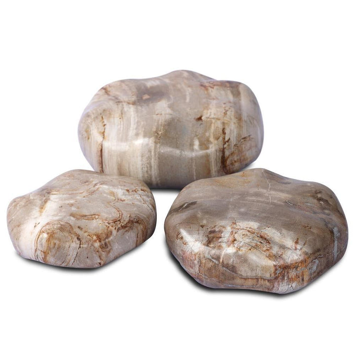 Petrified Wood Organic Sculpture, Set Of 3: Light Petrified Wood