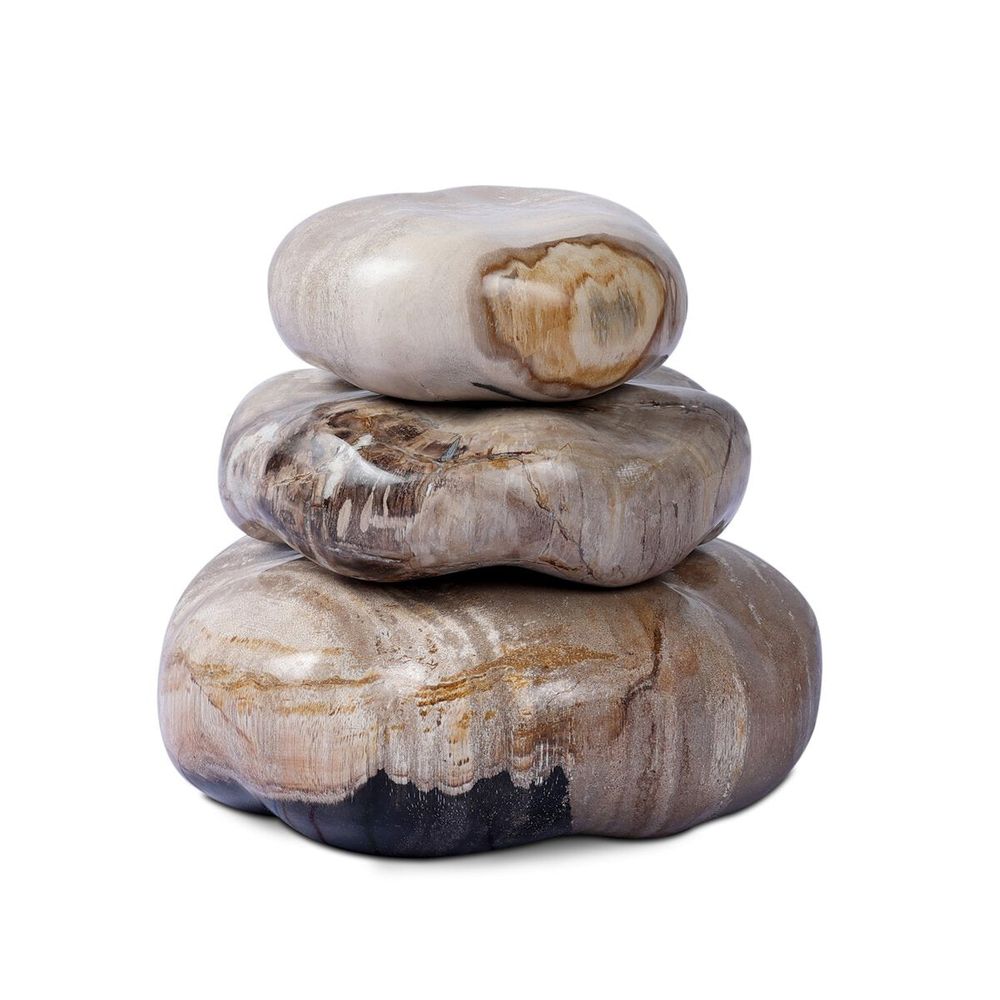 Petrified Wood Organic Sculpture, Set Of 3: Light Petrified Wood