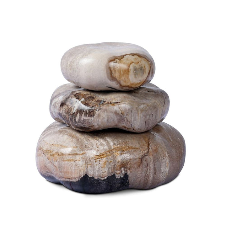Petrified Wood Organic Sculpture, Set Of 3: Light Petrified Wood