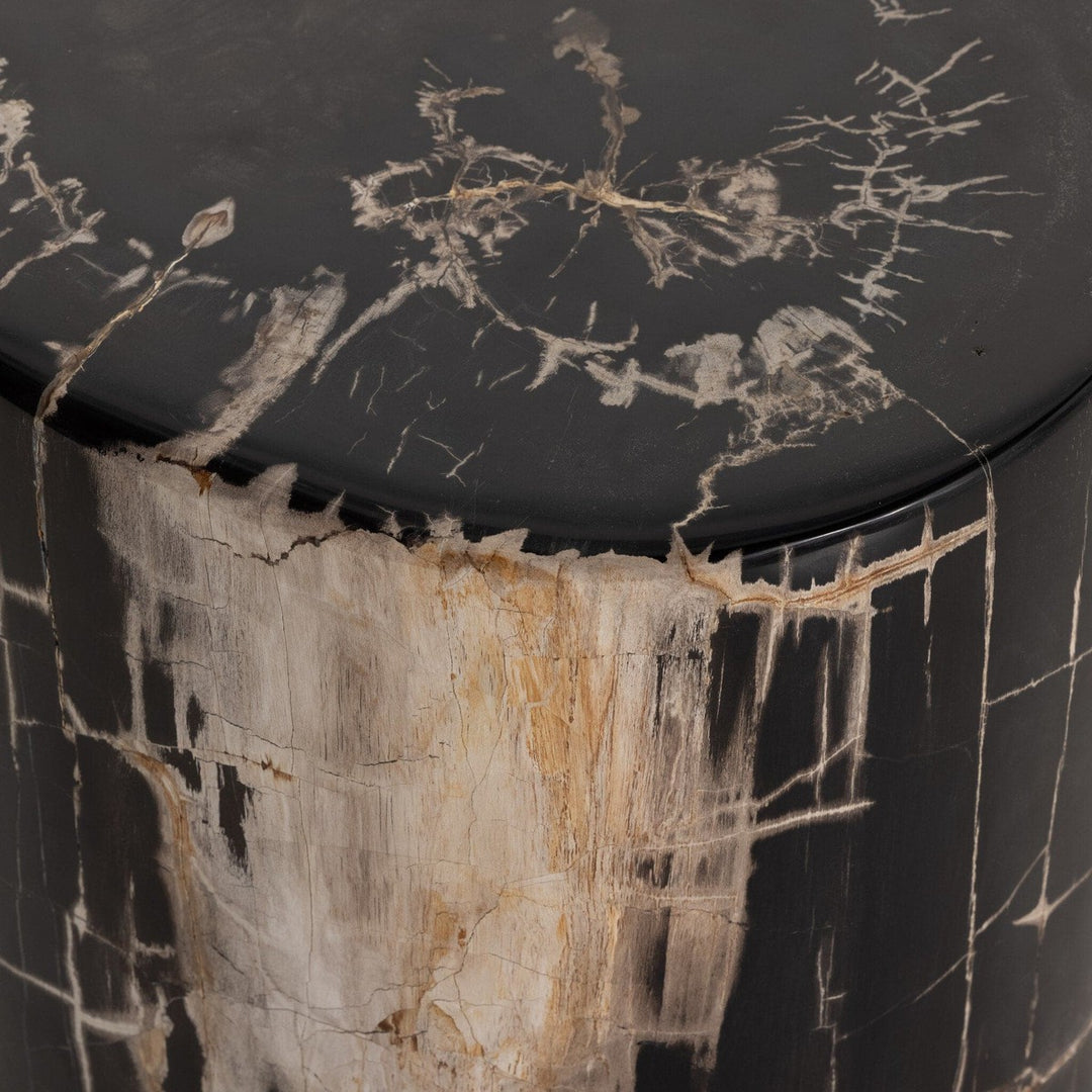 Kai End Table - Dark Petrified Wood