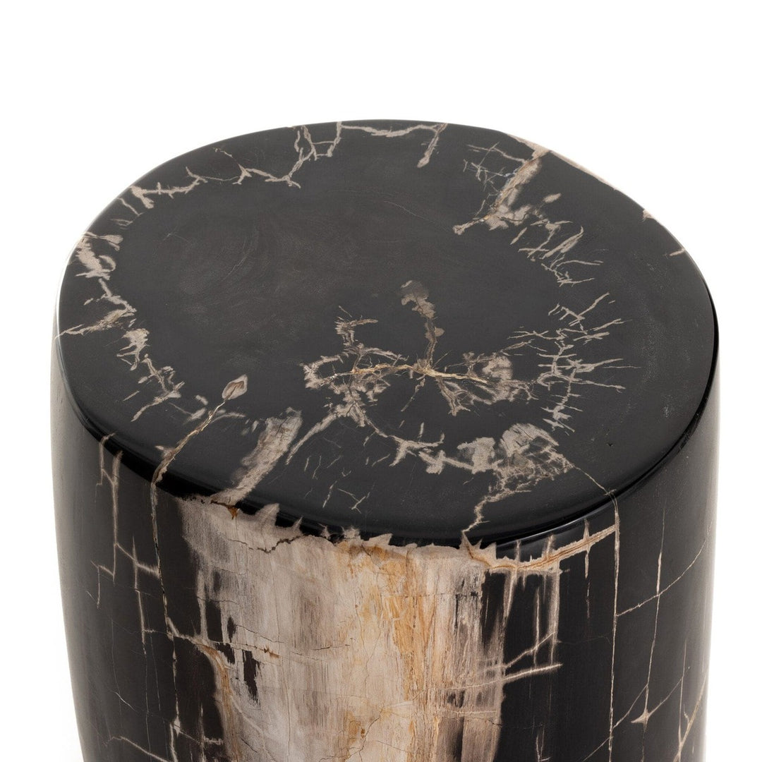 Kai End Table - Dark Petrified Wood