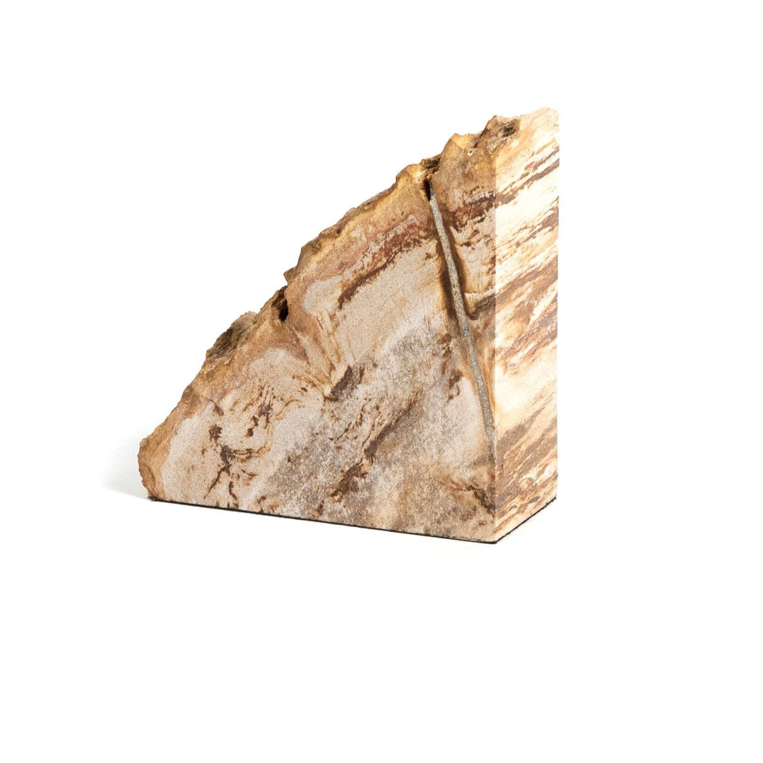 Ancient Wood Book Ends - Light Petrified Wood