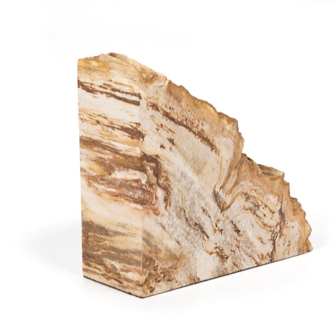 Ancient Wood Book Ends - Light Petrified Wood