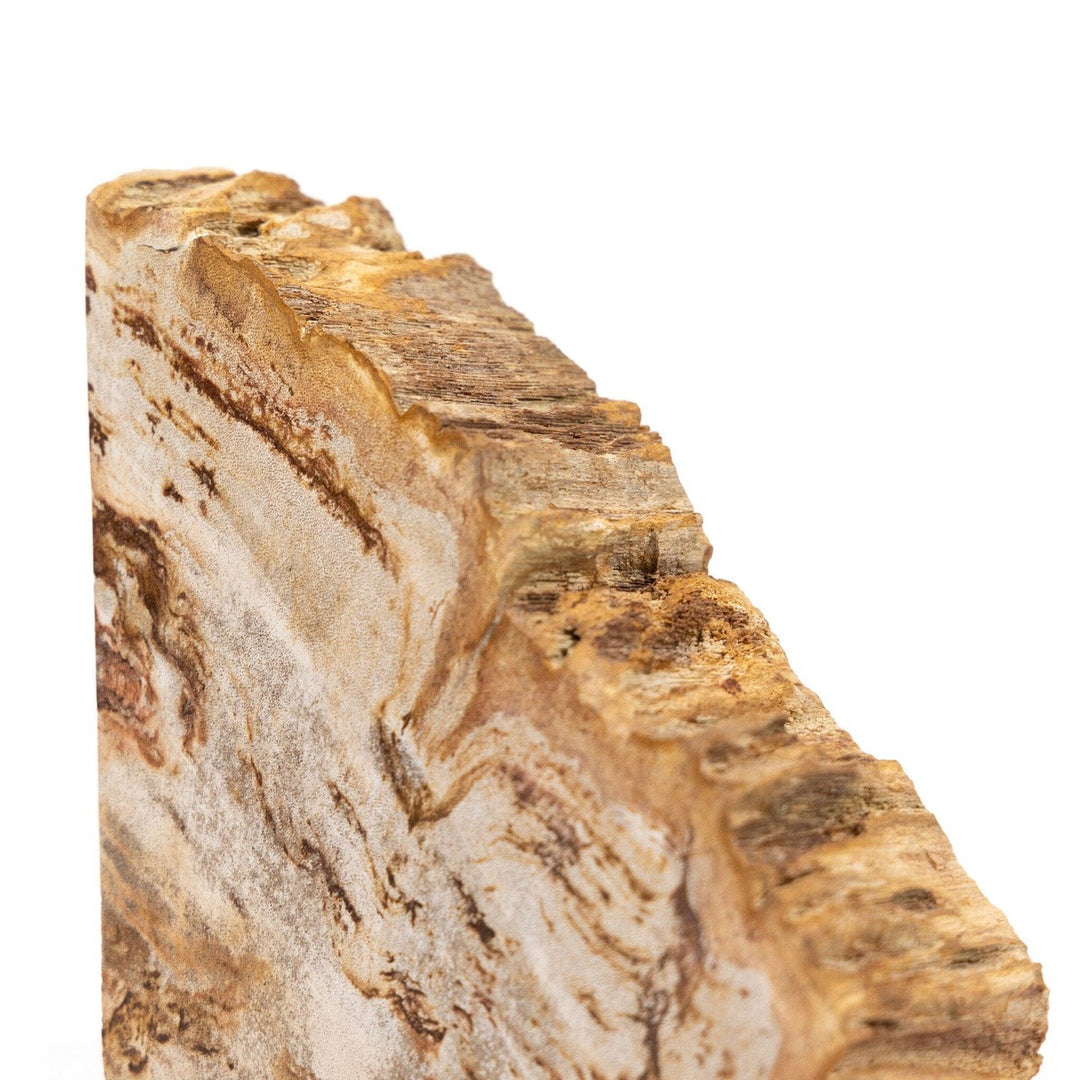 Ancient Wood Book Ends - Light Petrified Wood