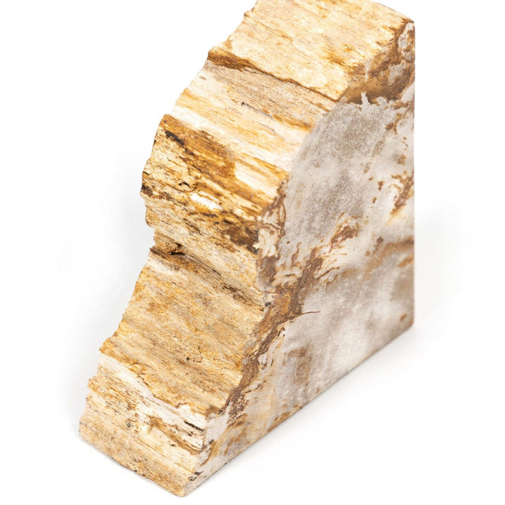 Ancient Wood Book Ends - Light Petrified Wood