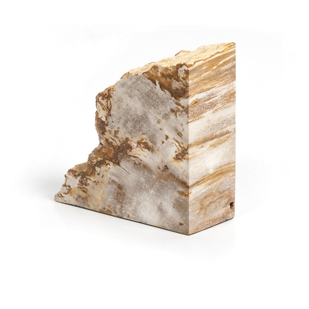 Ancient Wood Book Ends - Light Petrified Wood