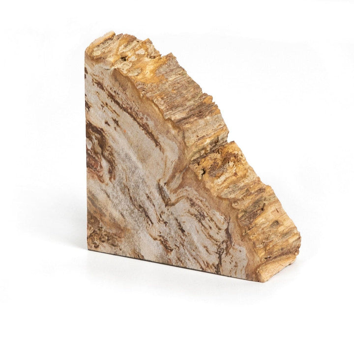 Ancient Wood Book Ends - Light Petrified Wood