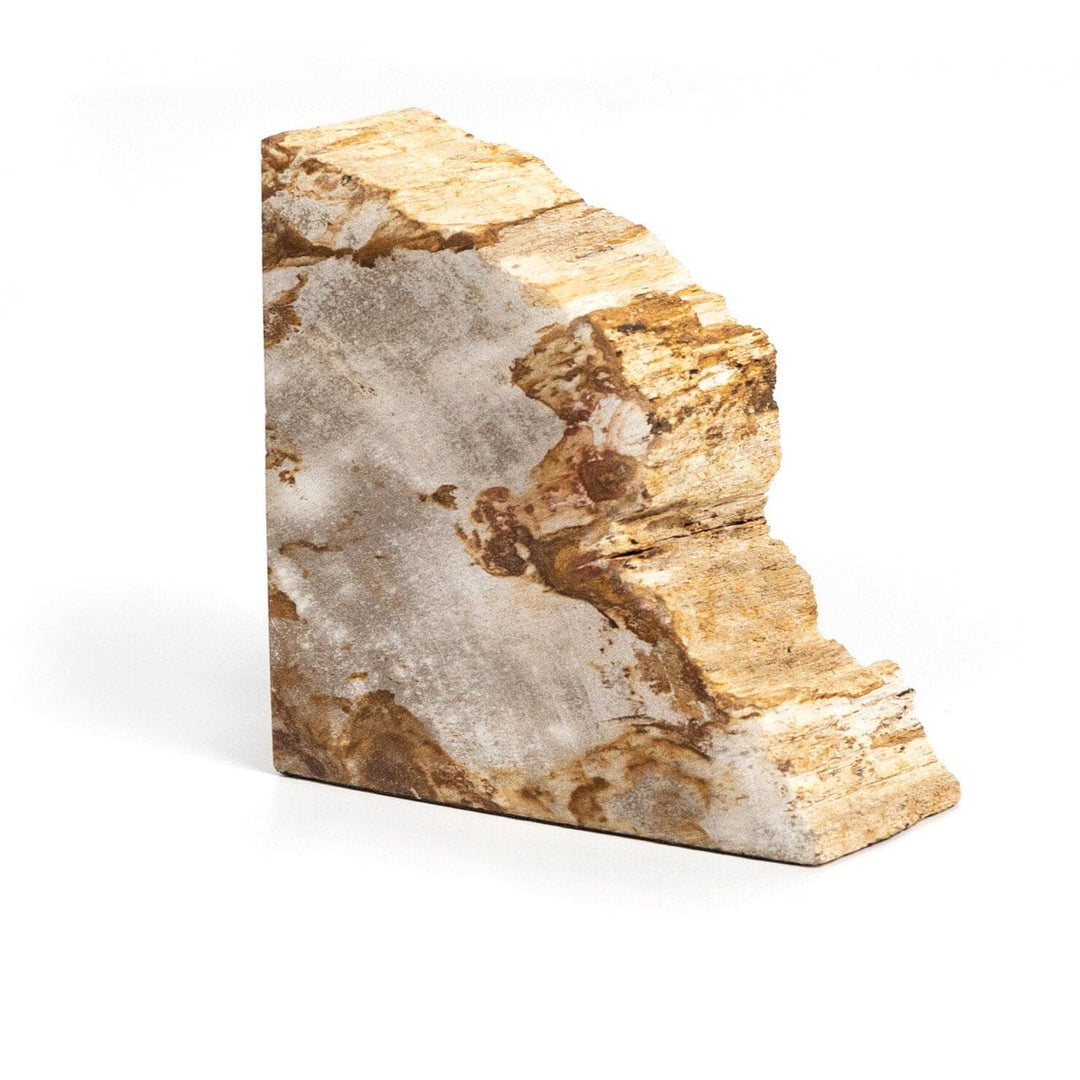 Ancient Wood Book Ends - Light Petrified Wood