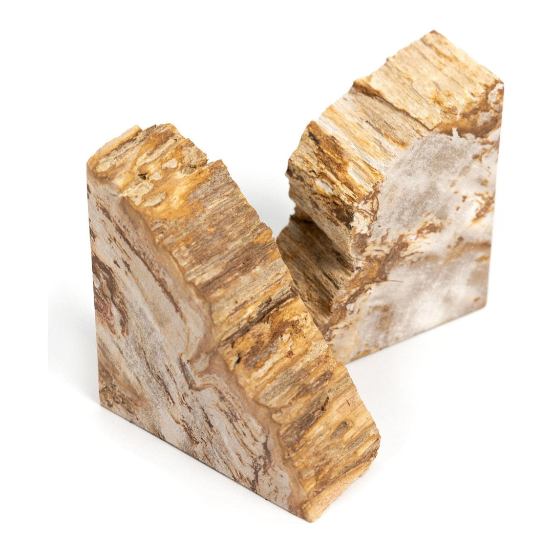 Ancient Wood Book Ends - Light Petrified Wood