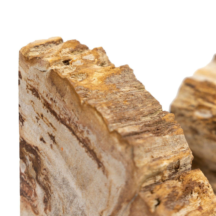 Ancient Wood Book Ends - Light Petrified Wood