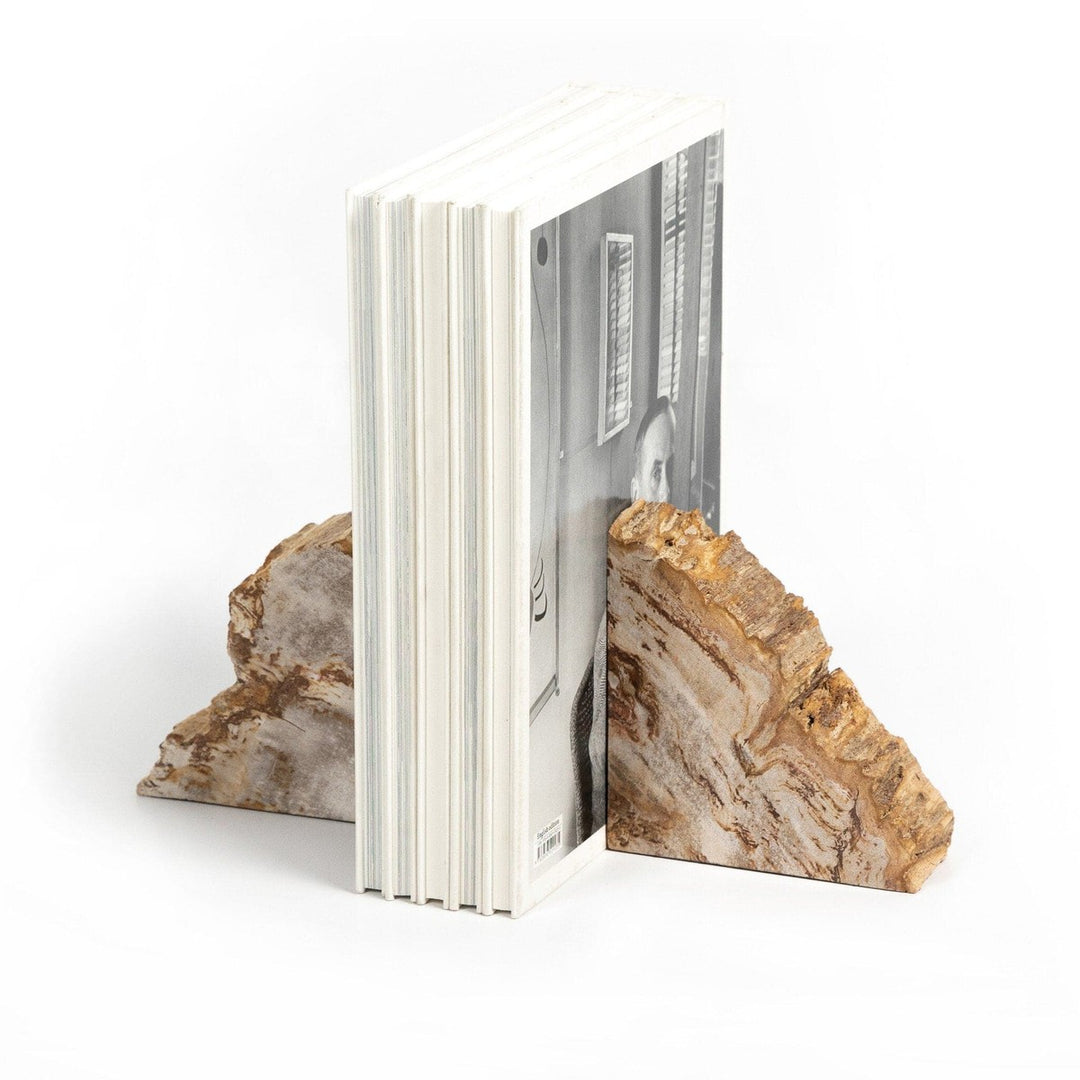 Ancient Wood Book Ends - Light Petrified Wood