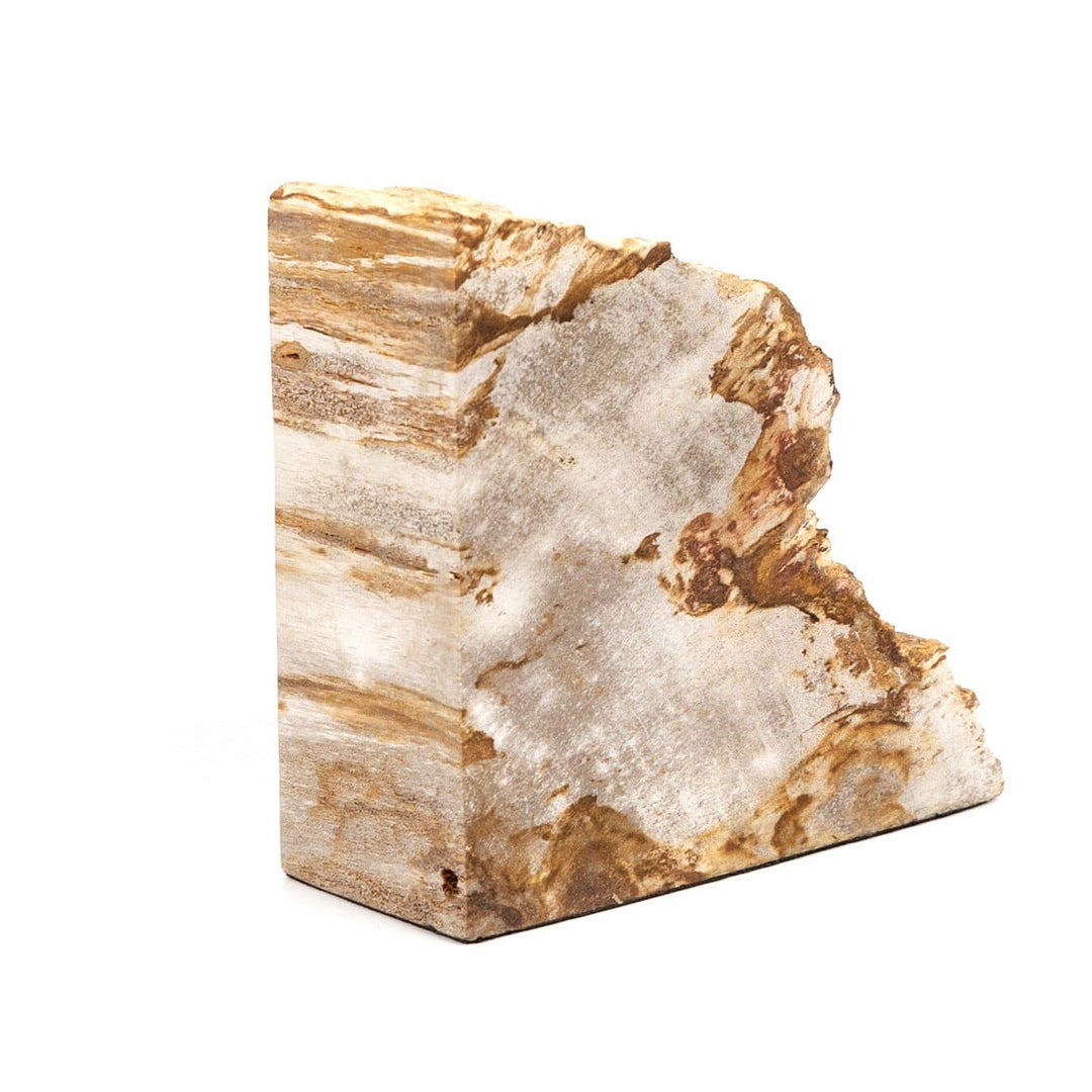 Ancient Wood Book Ends - Light Petrified Wood