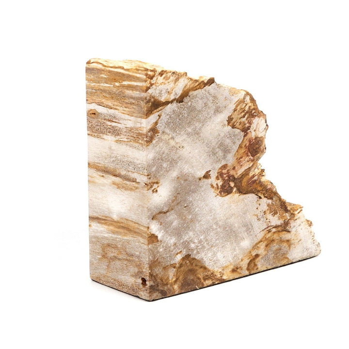 Ancient Wood Book Ends - Light Petrified Wood