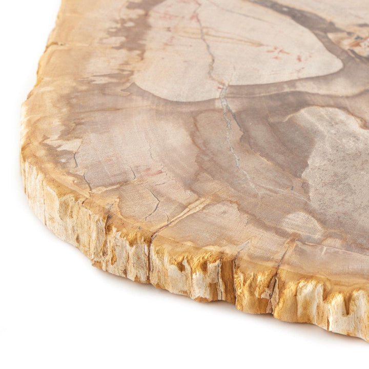 Ancient Wood Slab - Light Petrified Wood