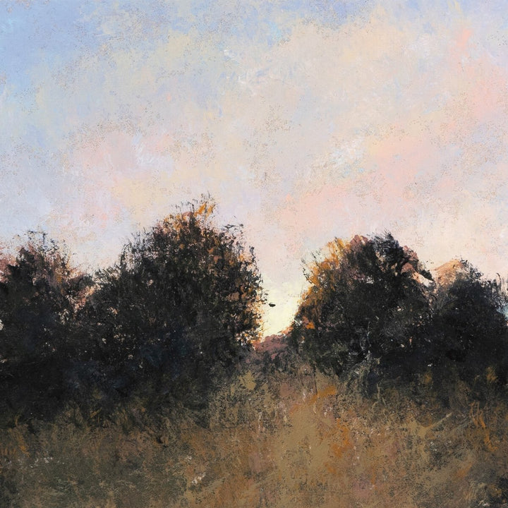 Last Light By Aileen Fitzgerald - 40"X30"