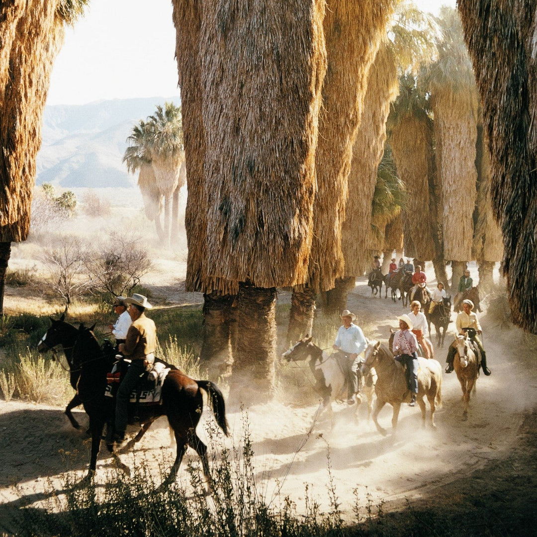 Desert Riders by Slim Aarons - Vertical Grain White Oak Floater